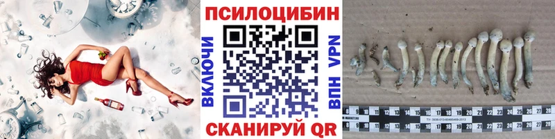 Псилоцибиновые грибы GOLDEN TEACHER  Купить где  Вилюйск 